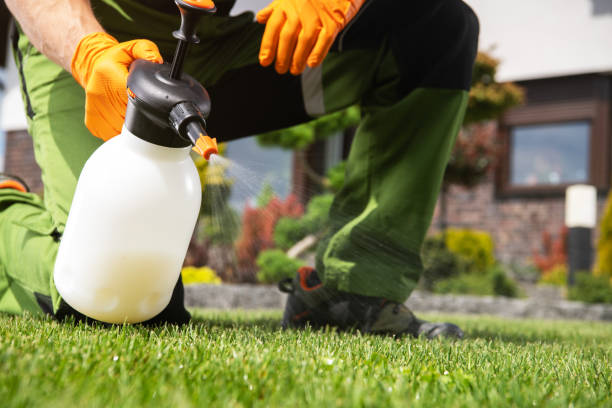 Best Residential Pest Control  in Denair, CA